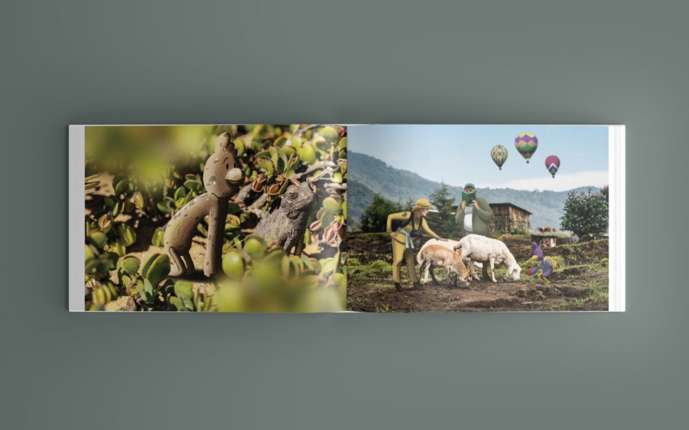 Where is Grammy - Kids Book - African Adventure 2