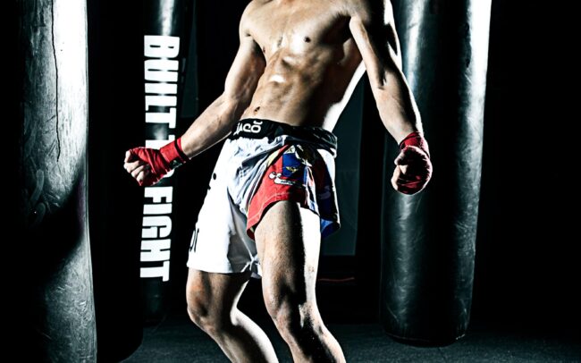 MMA Fighter - Turbo 2