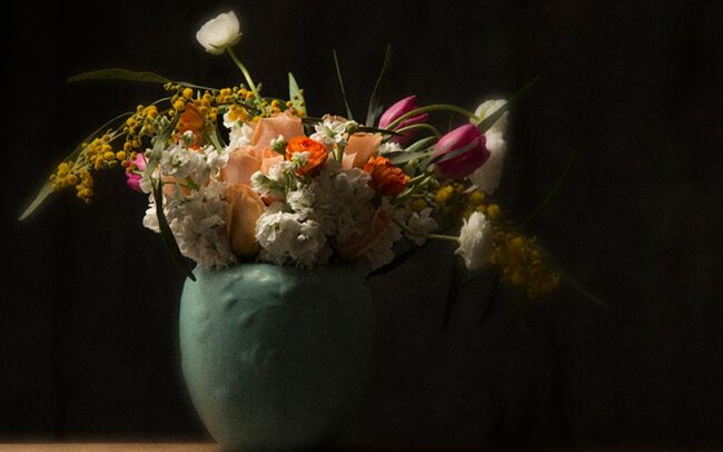 Commercial Photography - Flowers 2