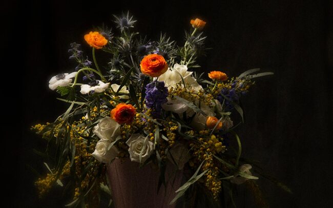 Commercial Photography - Flowers